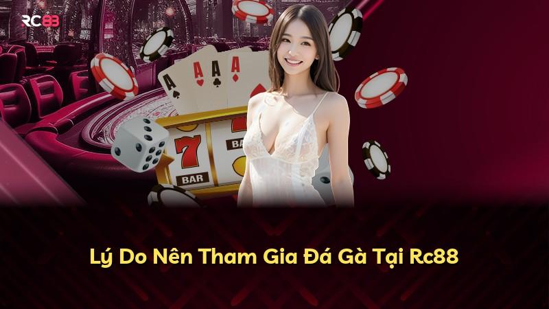 Lý Do Nên Tham Gia Đá Gà Tại Rc88