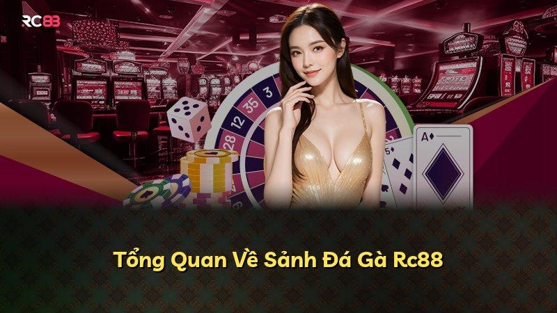 Tổng Quan Về Sảnh Đá Gà Rc88